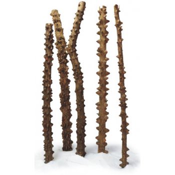 HAQUOSS EYES WOOD, radice decorativa per acquario
